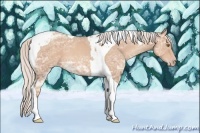 Horse Color:Silver Classic Champagne Ice Tobiano 