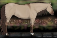 Horse Color:Liver Red Dun 