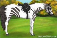 Horse Color:Smoky Black Tobiano 
