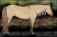 Horse Color:Chocolate Palomino Dun 