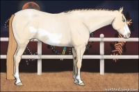 Horse Color:Buckskin Roan Pearl Frame 