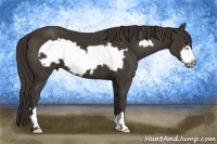 Horse Color:Liver Chestnut Frame 