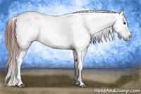 Horse Color:White Spotted Brown Dun Near Fewspot 