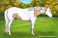 Horse Color:Silver Brown Pearl Splash Tobiano 