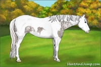Horse Color:Silver Black Ice Splash Tobiano 