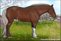 Horse Color:Silver Bay 