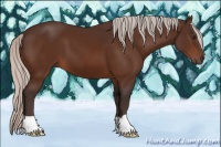 Horse Color:Silver Bay 