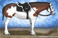 Horse Color:Bay Splash Frame 
