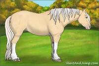 Horse Color:Silver Classic Cream Champagne Dun