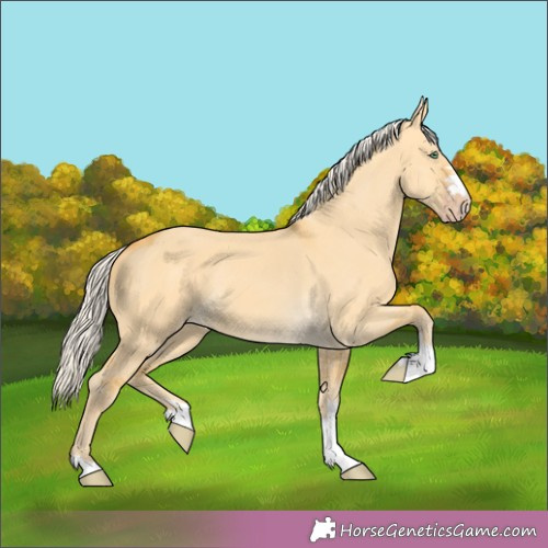 Horse Color: Silver Amber Cream Champagne Dun 