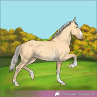 Horse Color:Silver Amber Cream Champagne Dun 