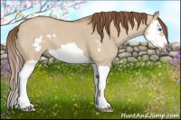 Horse Color:Red Dun Roan Splash Frame 