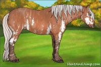 Horse Color:Silver Bay Splash  Brindle