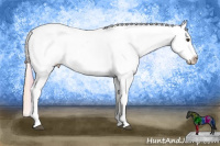 Horse Color:Plaid Chocolate Palomino Appaloosa