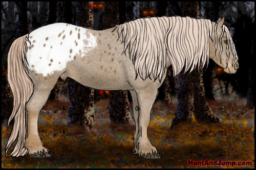 Horse Color: Chocolate Palomino Blanket 