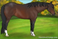 Horse Color:Brown 