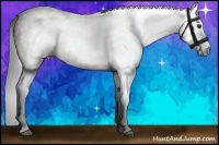 Horse Color:Gray Brown