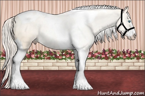 Horse Color: Cremello Sabino Tobiano 