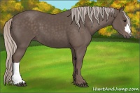 Horse Color:Silver Black 