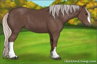 Horse Color:Silver Black 