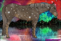 Horse Color:Chocolate Palomino 