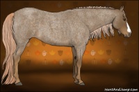 Horse Color:Chocolate Palomino Roan 