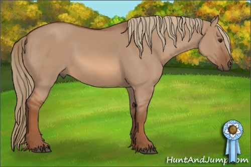 Horse Color: Liver Red Dun 