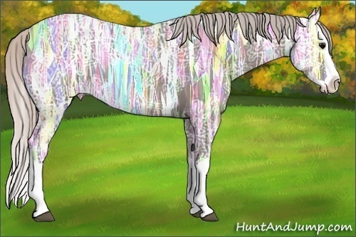 Horse Color: Silver Black Ice Splash 