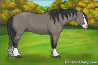 Horse Color:Grullo Splash 