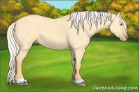 Horse Color:Silver Classic Cream Champagne Dun