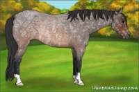 Horse Color:Brown Ice Roan Rabicano