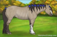 Horse Color:Smoky Grullo Rabicano 