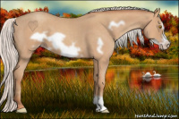 Horse Color:Silver Sable Champagne Roan Frame 