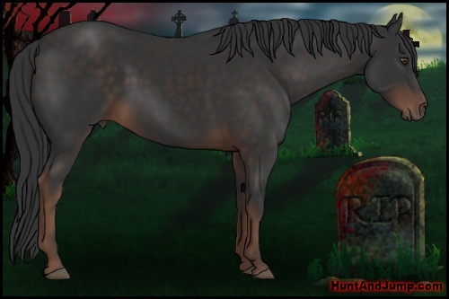 Horse Color: Liver Chestnut 