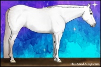 Horse Color:Gray Chestnut 