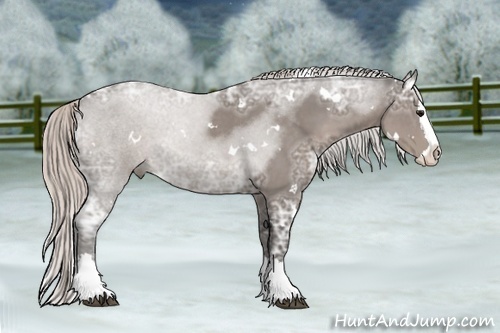 Horse Color: White Spotted Silver Black Ice Sabino Splash 