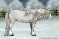 Horse Color:White Spotted Silver Black Ice Sabino Splash