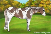 Horse Color:White Spotted Silver Black Splash Tobiano 