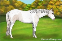 Horse Color:Silver Brown Ice Dun Sabino Tobiano