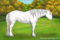 Horse Color:Liver Red Dun Ice Splash Tobiano 