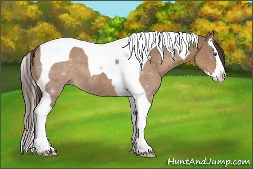 Horse Color: Liver Red Dun Splash Tobiano 