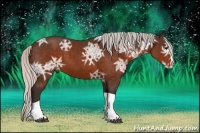 Horse Color:Silver Brown Ice Sabino Splash Tobiano 
