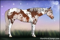 Horse Color:Silver Brown Ice Tobiano 