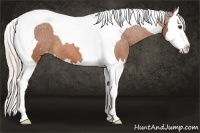 Horse Color:Silver Bay Splash Tobiano Varnish 