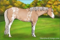Horse Color:White Spotted Silver Brown Pearl 