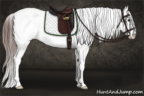 Horse Color: White Spotted Brown Splash Frame Snowcap 