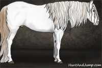 Horse Color:Buckskin Tobiano Near Fewspot 