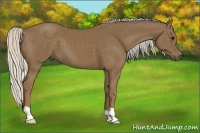Horse Color:Silver Smoky Black 