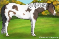 Horse Color:Brown Tobiano Frame 