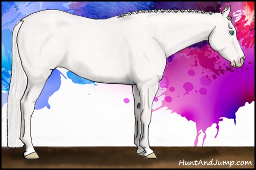 Horse Color:Cremello Roan 